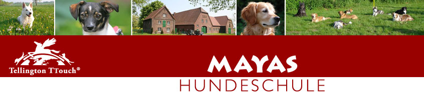 Logo_Maya_mit_Banner1.jpg